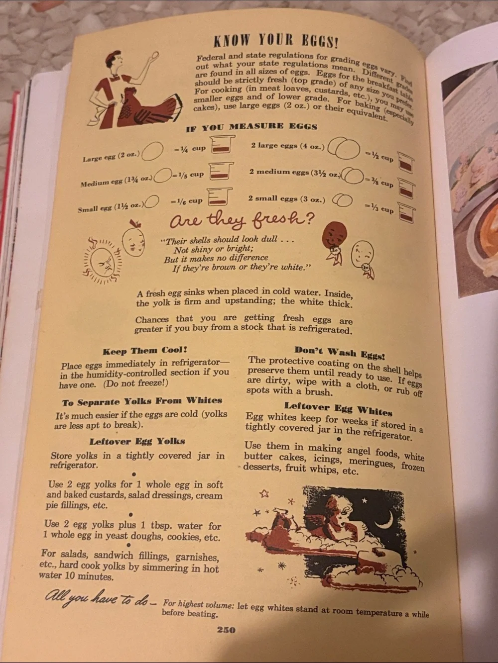 vintage 1950 edition of Betty Crocker's Picture Cook Book.